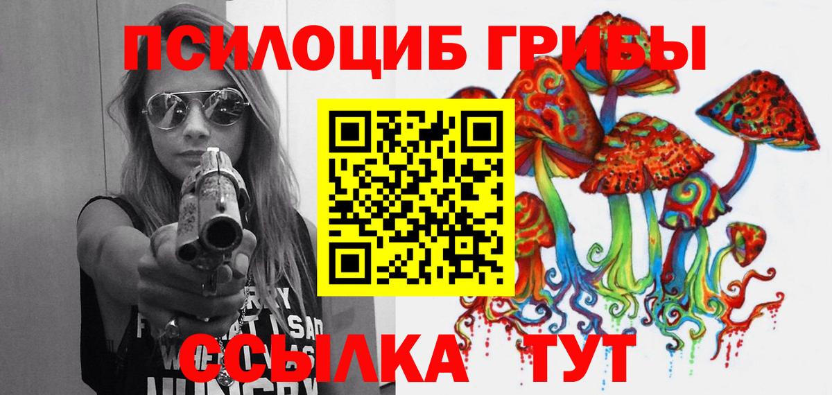 Псилоцибиновые грибы прущие грибы Шебекино