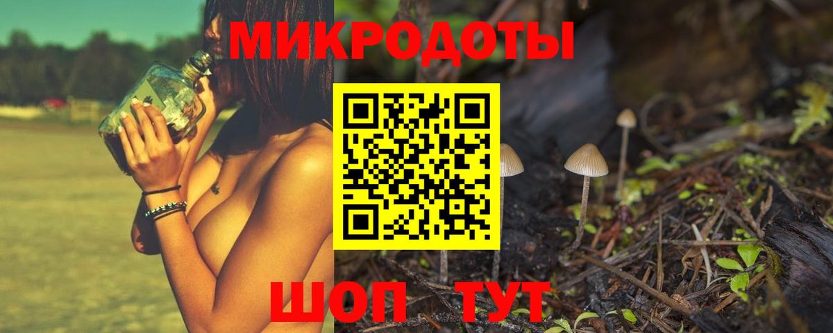 Шебекино  Галлюциногенные грибы MAGIC MUSHROOMS  Вход с VPN 